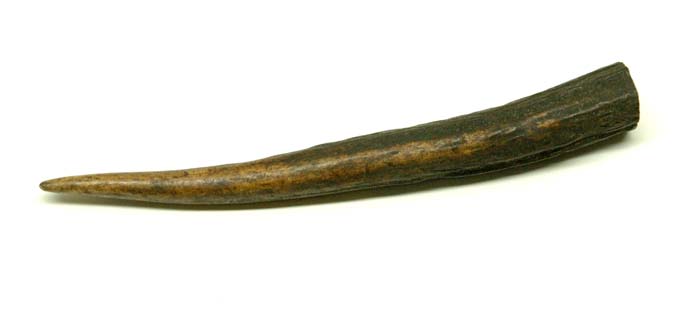 MI0802 ANTLER TIPS SM