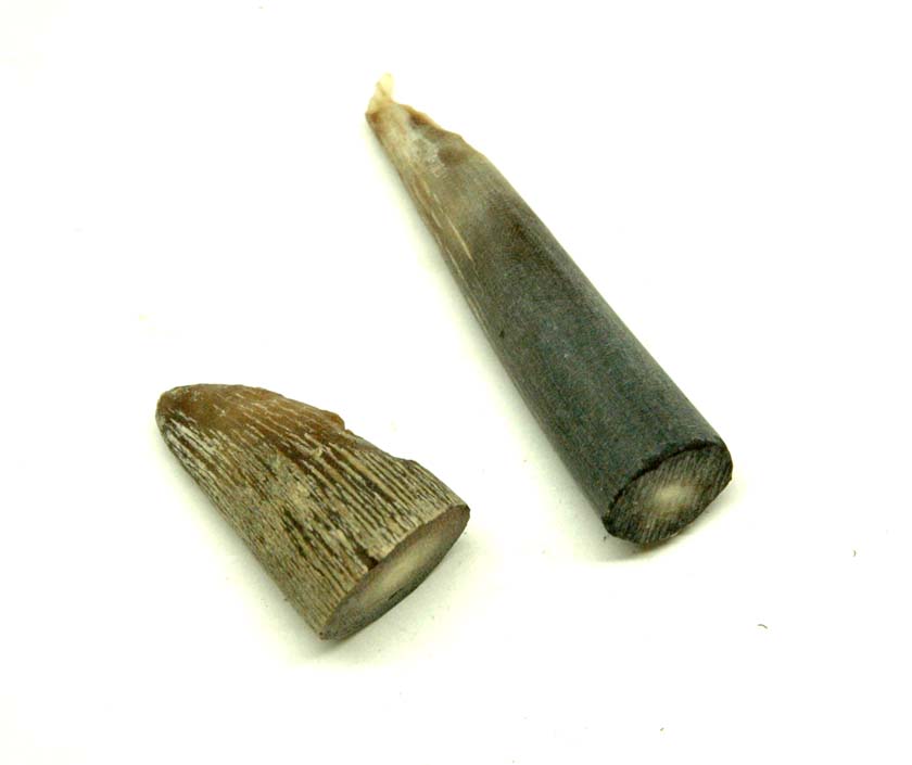 MI0803 Cowhorn Tips (Pks. of 2)