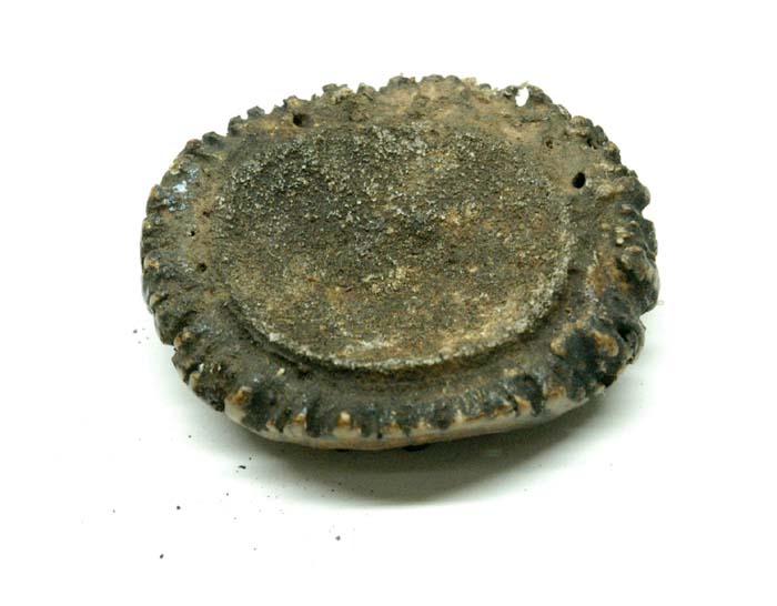 PE4706 Stag Crowns - Small