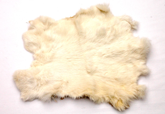 FR0100 Pelts - White