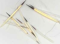 MC0305 Porcupine Quills