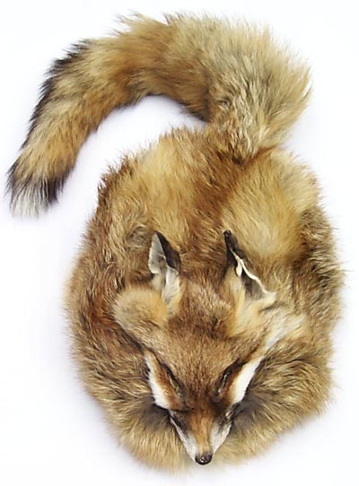 MG4202 Red Fox Hat