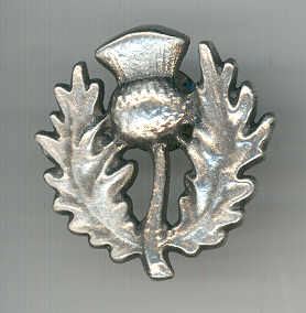 PW2710 Hand Cast Pewter Pin - Thistle